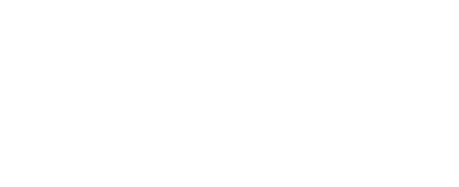 IceberPRO